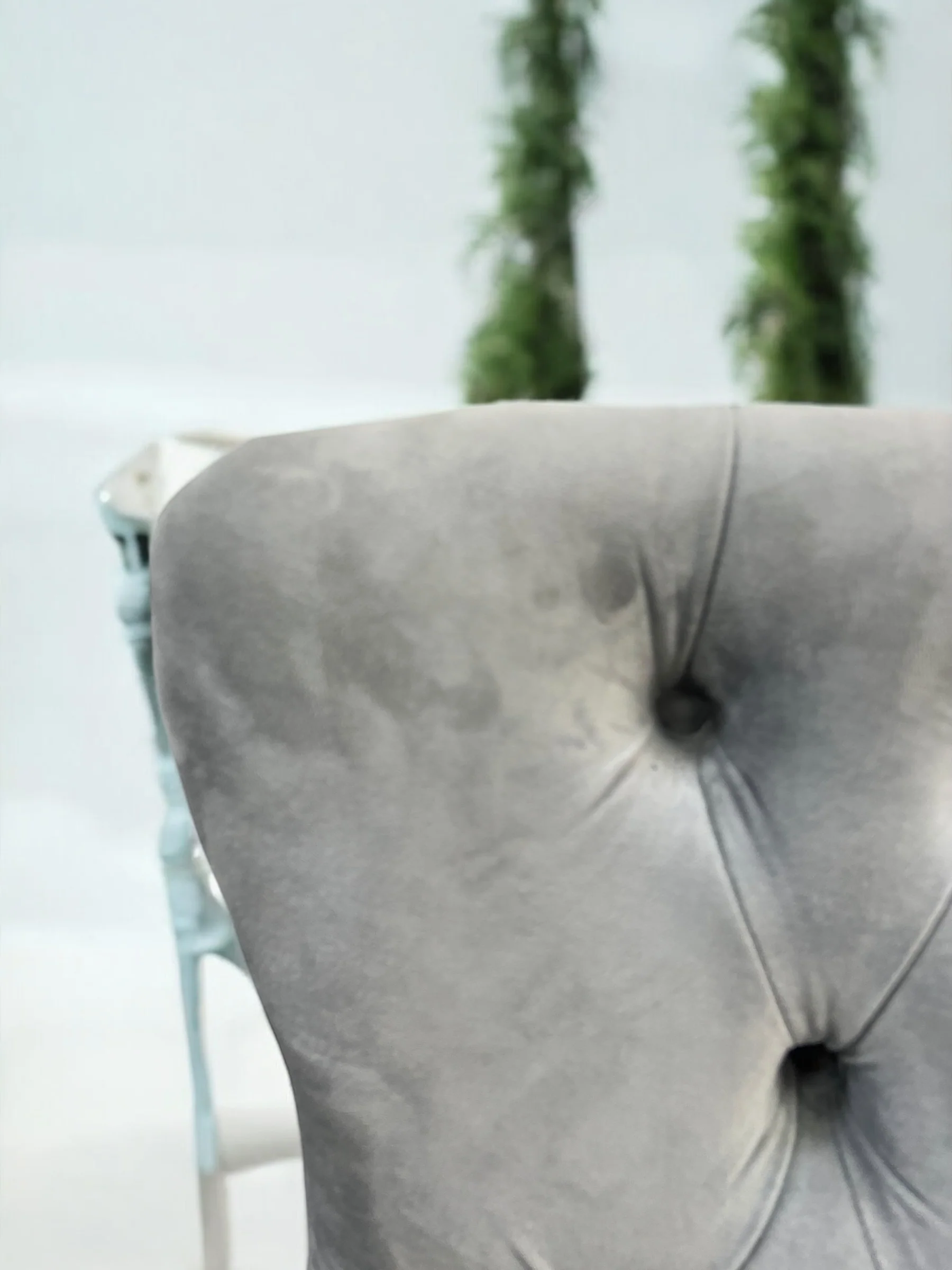Silla terciopelo LONDRAV25  león para comedor gris, patas de metal gris - Image 6